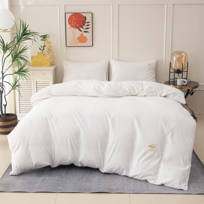 Duvet Insert White - Thickened 110g Polyester Ultra-Soft White 4-Piece