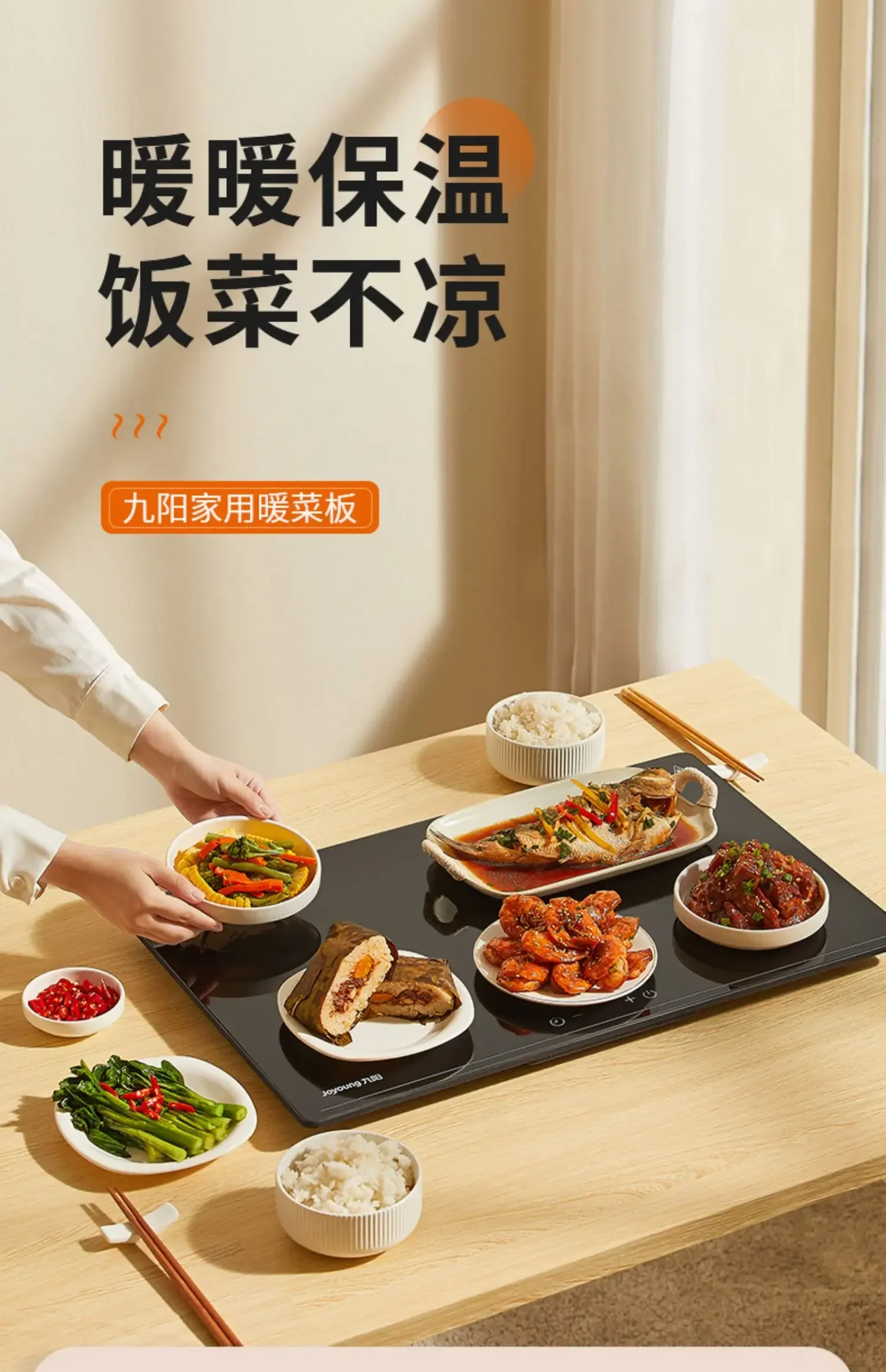 220V Multifunctional Electric  - Heated Pad Electric review and price