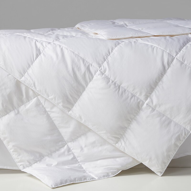 Lightweight Down Comforter Whi - Duvet Insert White review and price