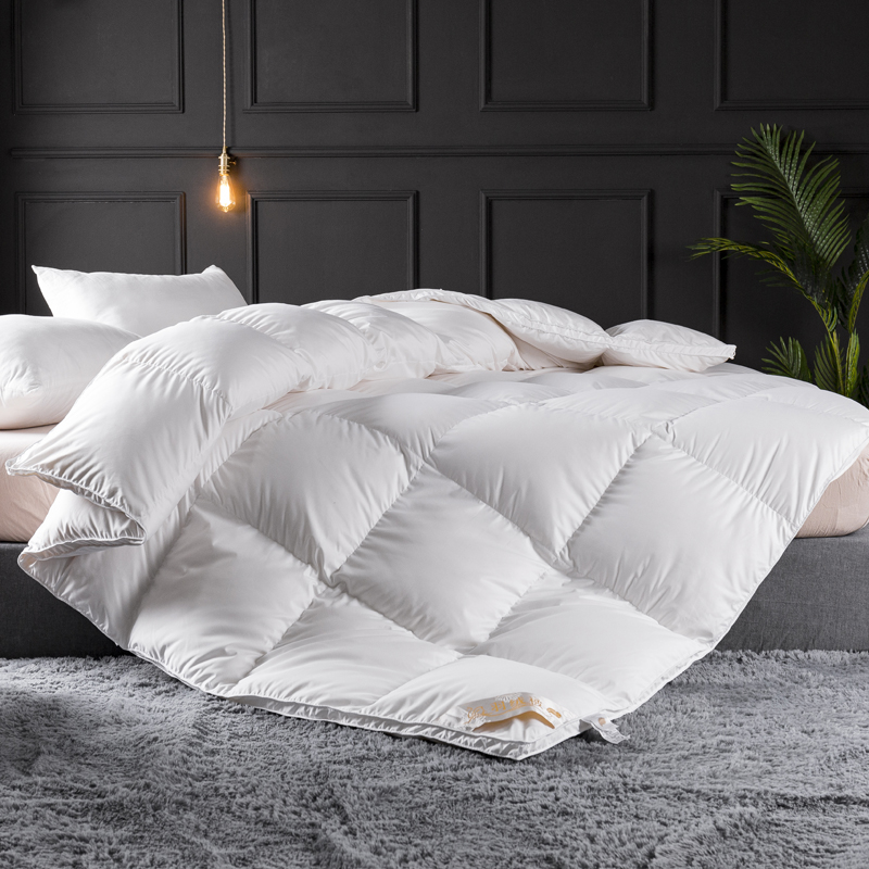 Luxury Bedding Comforter Duvet - Duvet Insert White review and price