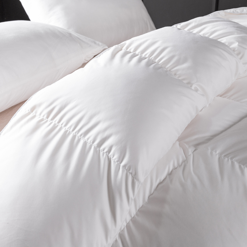 Luxury Bedding Comforter Duvet - Duvet Insert White review and price